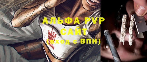 сатива Алексеевка