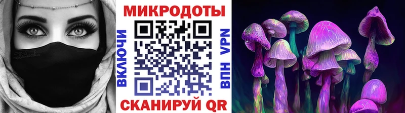 что такое   KRAKEN ONION  Галлюциногенные грибы GOLDEN TEACHER  Сенгилей 